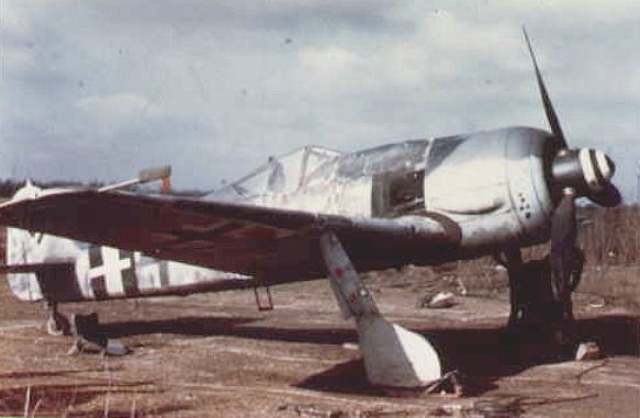 fw190cr_3.jpg (32070 bytes)