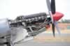Spitfire VIII Close Up by James Levingston: Image