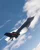 F-35 Lightning II In Flight: Image