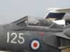 Sea Vixen Detailed Reference Photos by Chris Hughes: Image